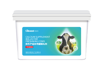 Ca2+BOOST (Calcium supplement bolus for freshening cows)